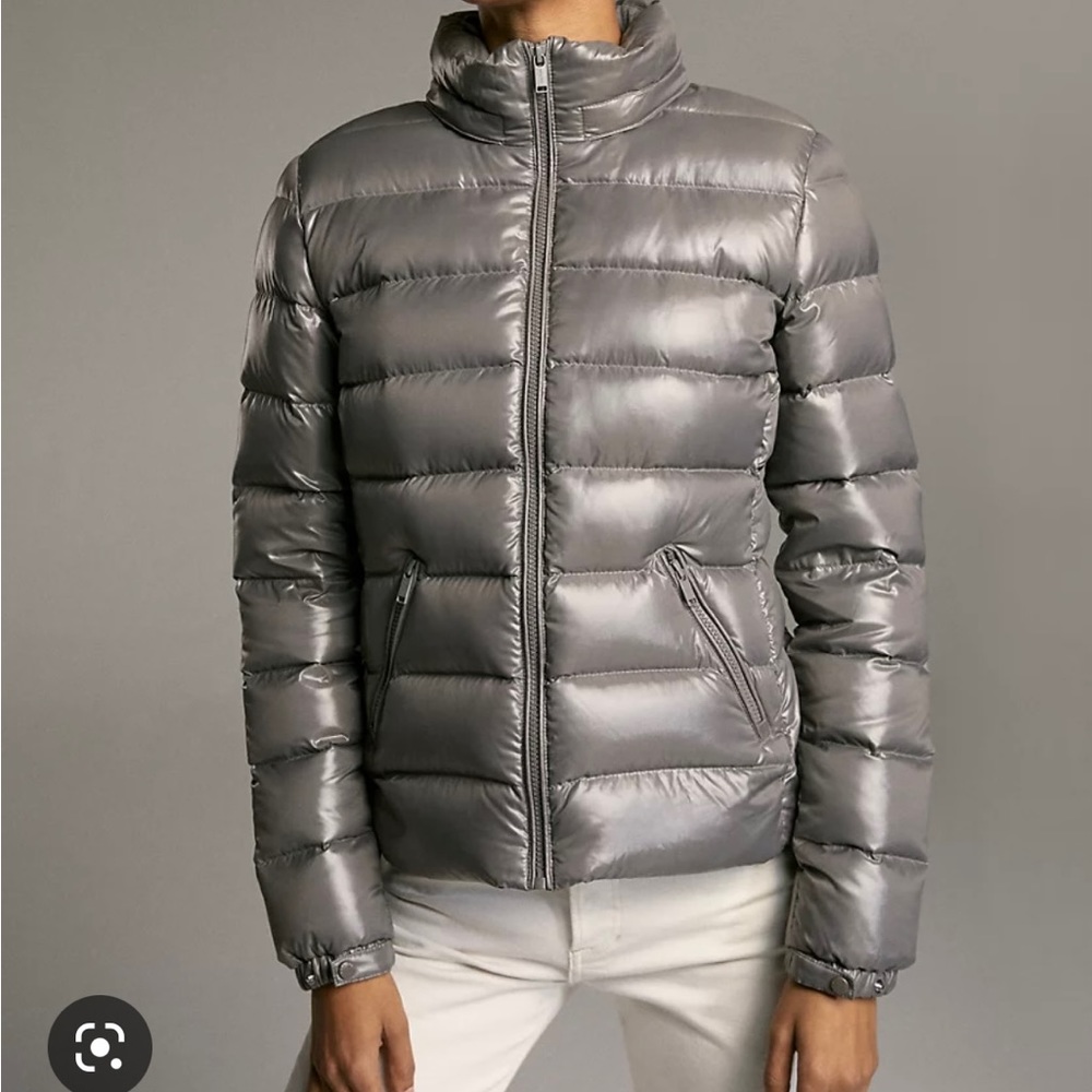 Babaton Hudson Puffer (Aritzia) - Like New